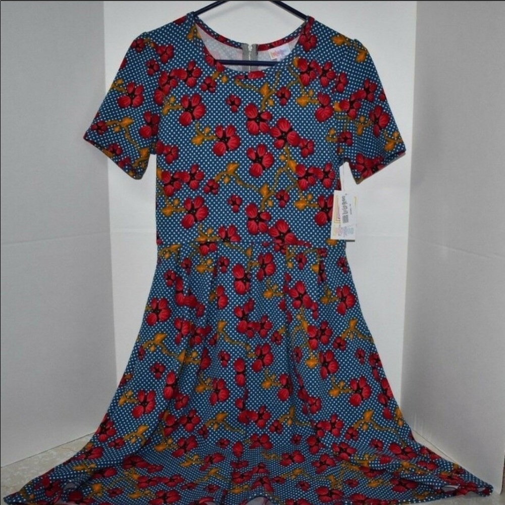 Lularoe Amelia Dress